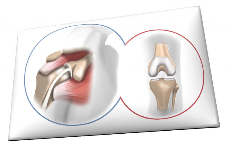 unnamed file 4 768x474