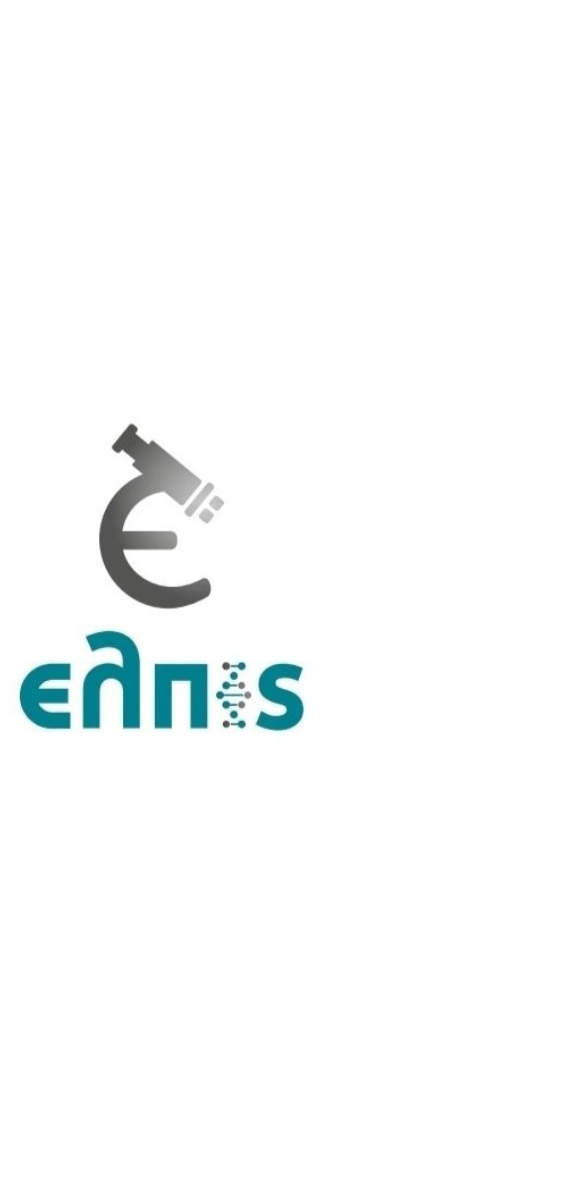 ελπις μακετα 1